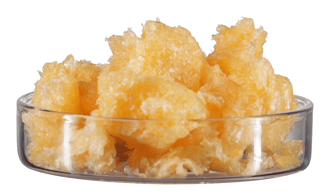 Lecitina de Soya