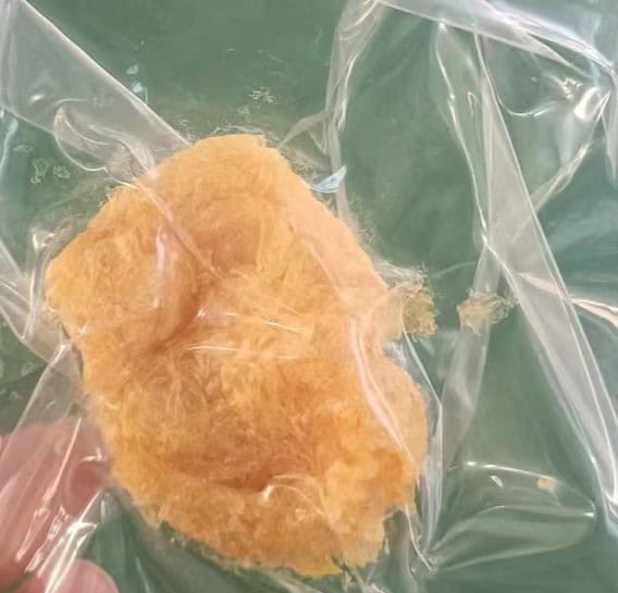 Lecitina de Soya